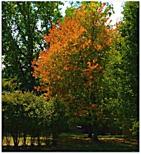 Seasonal-Changes-in-Cincinnati-Real-Estate-Market Seasonal-Changes-in-Cincinnati-Real-Estate-Market