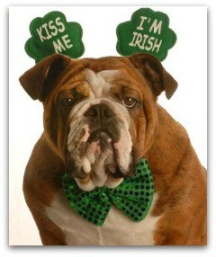 what to do for st patricks day in cincinnati ohio