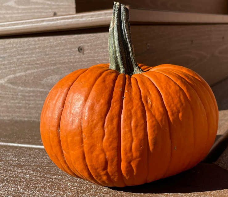Pumpkin sitting on porch step